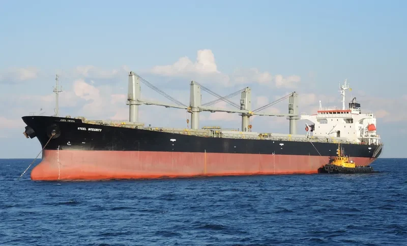 FUSHUN Bulk Carrier IMO 9146003 photo 8