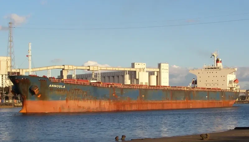 BEI LUN HAI 28 Bulk Carrier IMO 9146015 photo 4