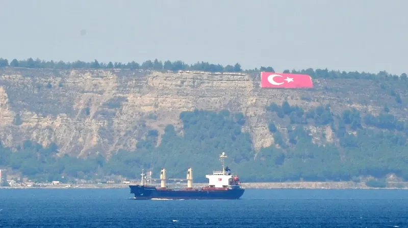 DIAMOND CANAKKALE Bulk Carrier IMO 9146118 photo 3