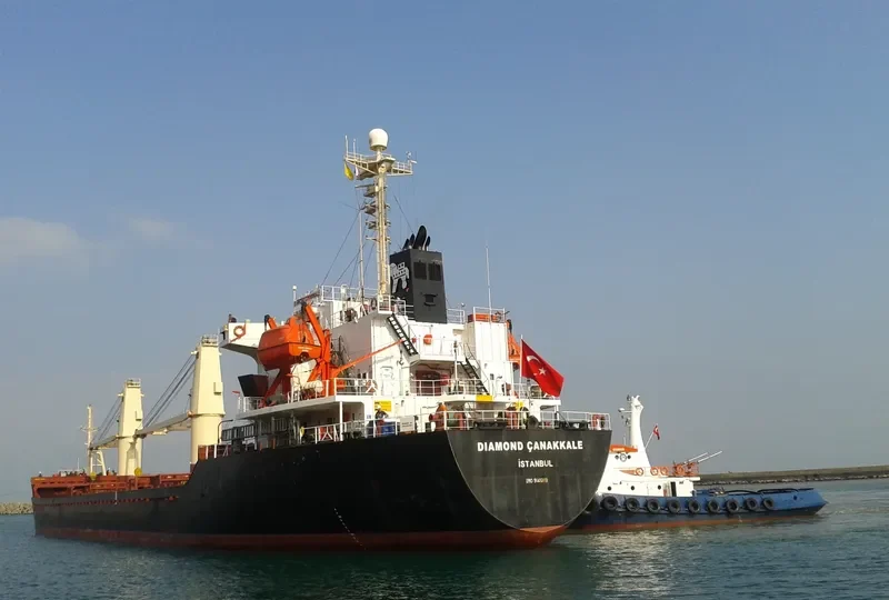DIAMOND CANAKKALE Bulk Carrier IMO 9146118 photo 5