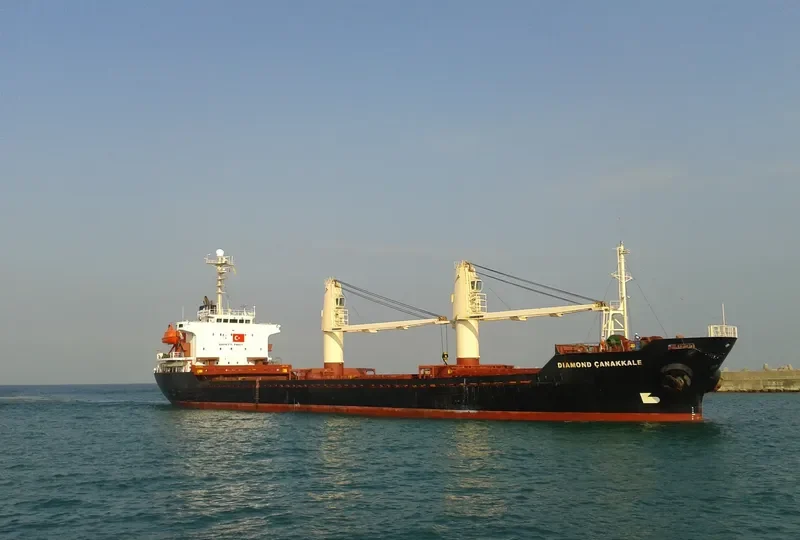 DIAMOND CANAKKALE Bulk Carrier IMO 9146118 photo 8