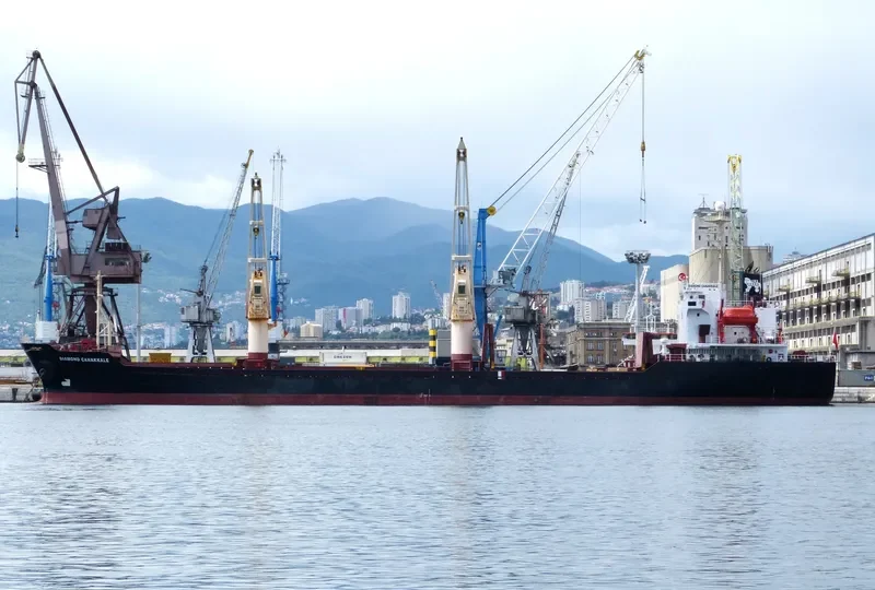 DIAMOND CANAKKALE Bulk Carrier IMO 9146118 photo 10