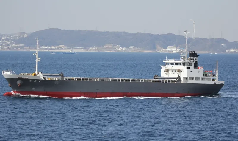 JUNE XIN General Cargo IMO 9146209 photo 2
