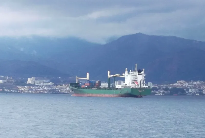 AGGELIKI P. Container Ship IMO 9146302 photo 35