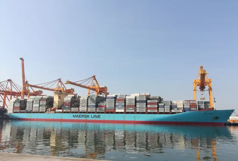 SINE MAERSK Container Ship IMO 9146455