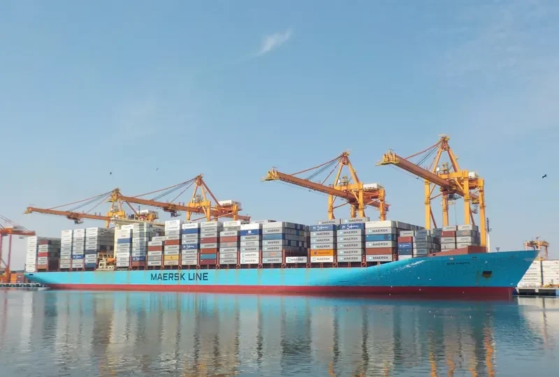 SINE MAERSK Container Ship IMO 9146455 photo 4