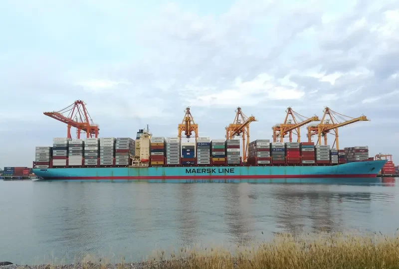 SINE MAERSK Container Ship IMO 9146455 photo 5
