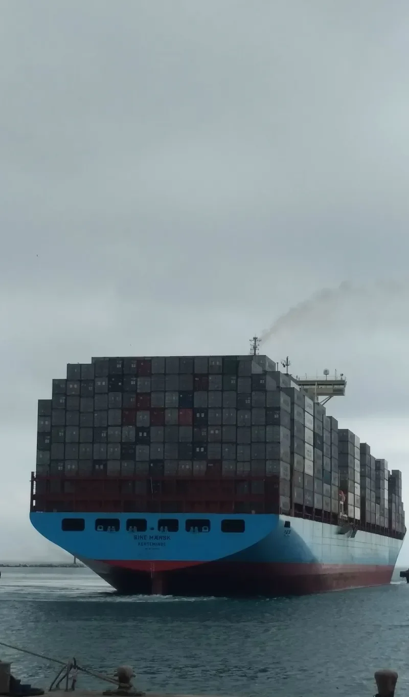 SINE MAERSK Container Ship IMO 9146455 photo 7