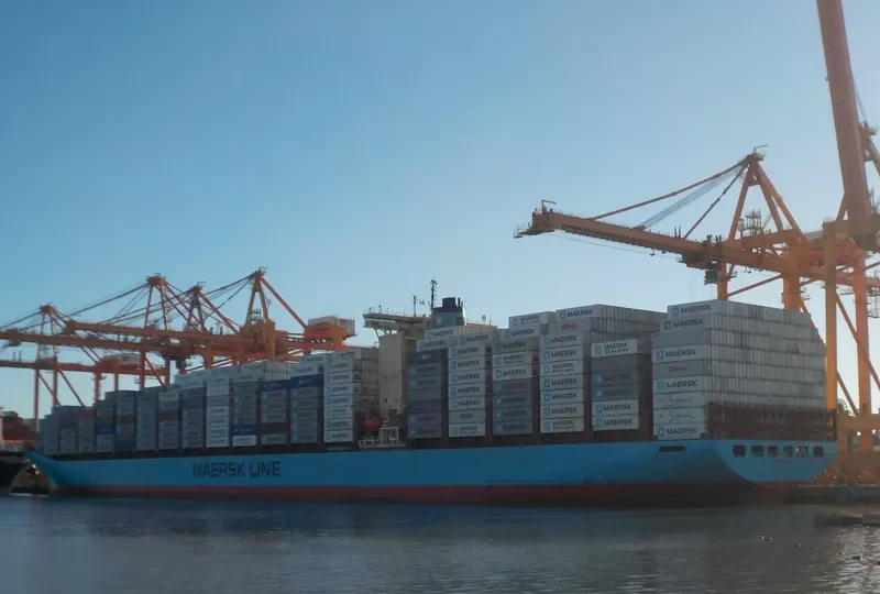 SINE MAERSK Container Ship IMO 9146455 photo 8