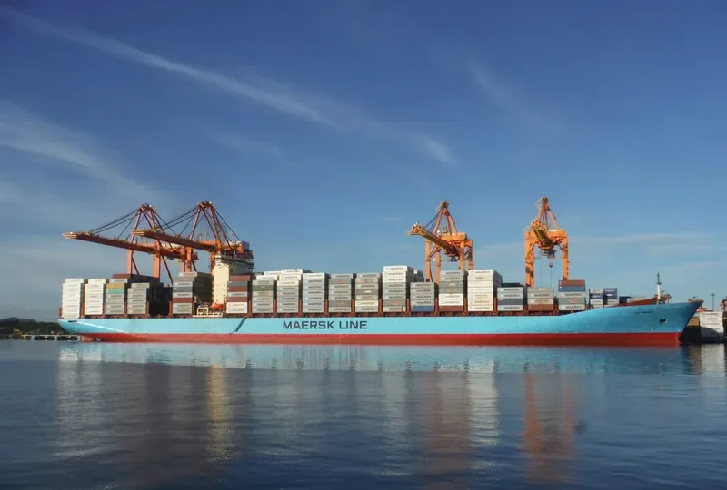 SINE MAERSK Container Ship IMO 9146455 photo 10