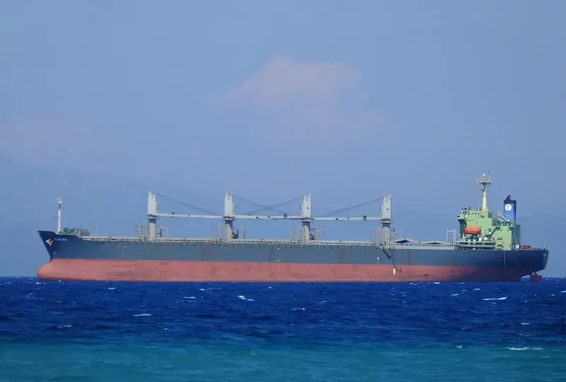 SEA ALICE Bulk Carrier IMO 9146558