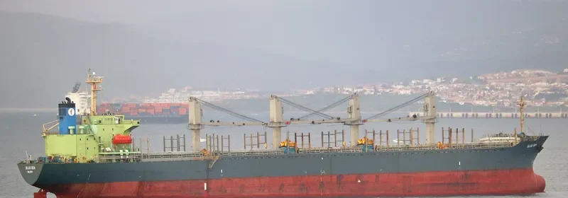SEA ALICE Bulk Carrier IMO 9146558 photo 3