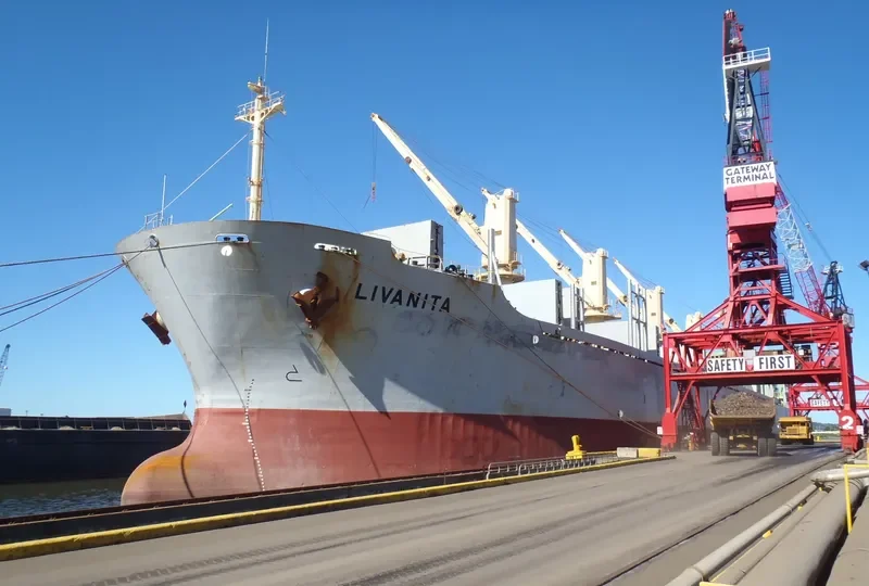 SEA ALICE Bulk Carrier IMO 9146558 photo 4