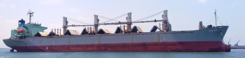 SEA ALICE Bulk Carrier IMO 9146558 photo 7