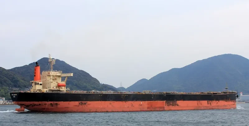 RUBIN PHOENIX Bulk Carrier IMO 9146584 photo 3