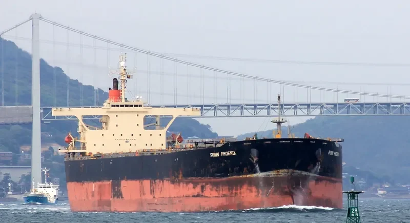 RUBIN PHOENIX Bulk Carrier IMO 9146584 photo 5
