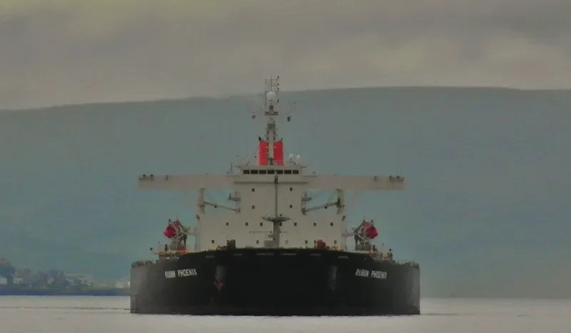 RUBIN PHOENIX Bulk Carrier IMO 9146584 photo 7