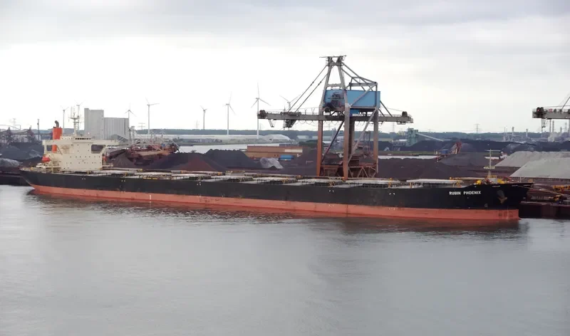 RUBIN PHOENIX Bulk Carrier IMO 9146584 photo 8