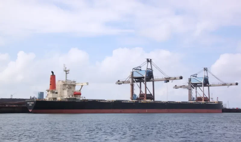 RUBIN PHOENIX Bulk Carrier IMO 9146584 photo 9