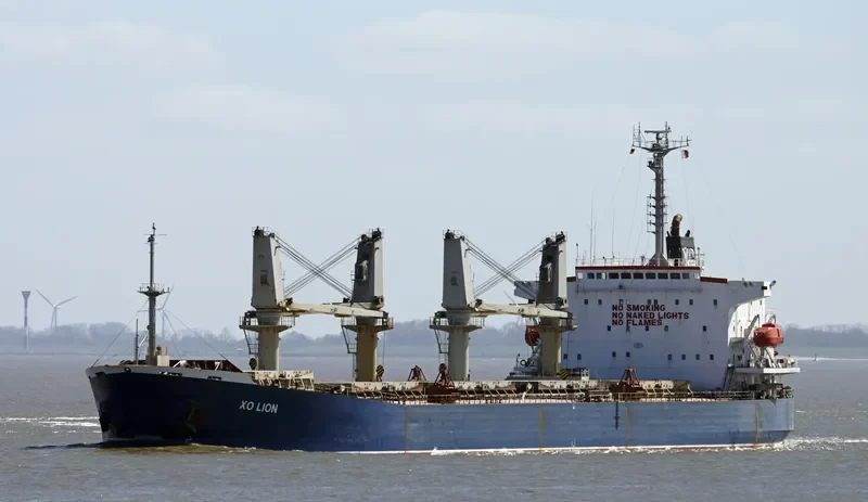 JIAN HUI Bulk Carrier IMO 9146601 photo 6