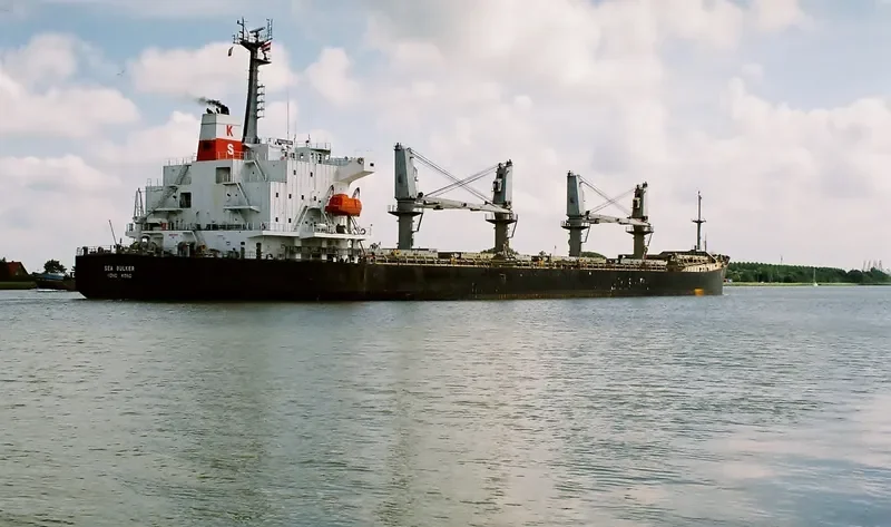 FOREVER HAPPY Bulk Carrier IMO 9146613 photo 3