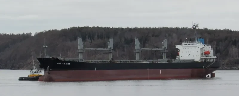 FOREVER HAPPY Bulk Carrier IMO 9146613 photo 8