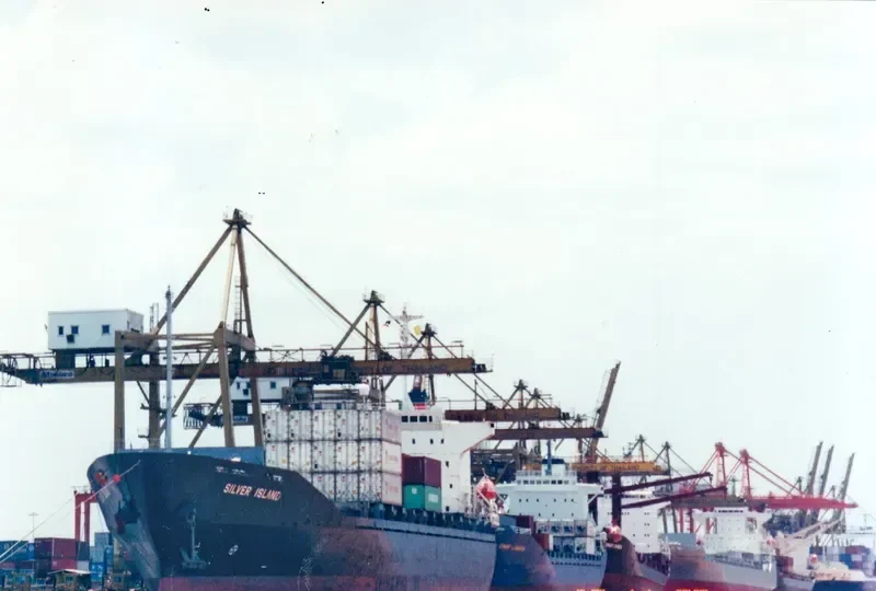 SENTOSA STAR Container Ship IMO 9146649