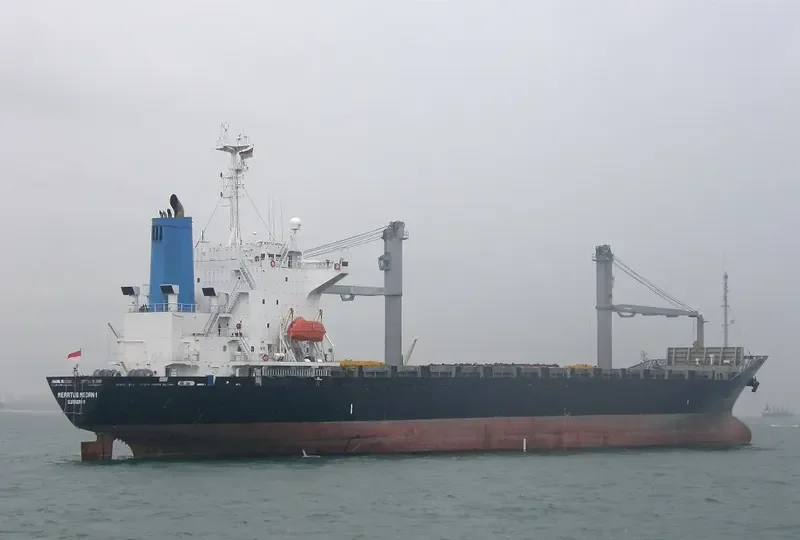 MERATUS MEDAN 1 Container Ship IMO 9146651