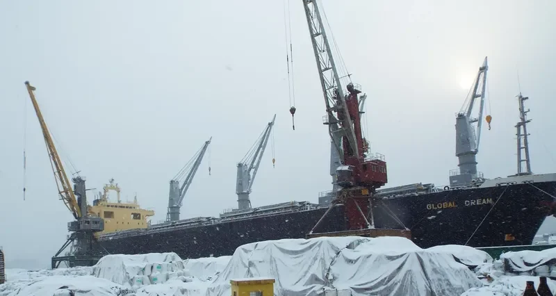 GLOBAL DREAM Bulk Carrier IMO 9146716