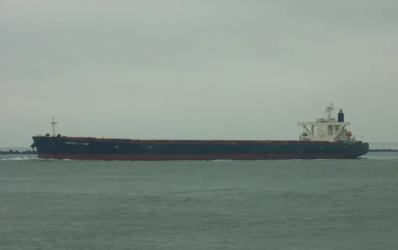 ELLA Bulk Carrier IMO 9146730 photo 4