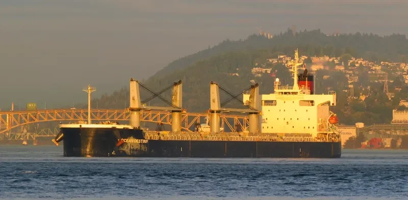 TIVOLI Bulk Carrier IMO 9146807 photo 2