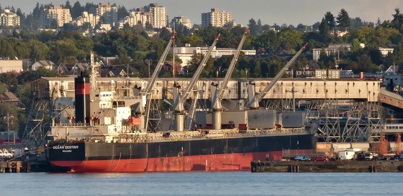 TIVOLI Bulk Carrier IMO 9146807 photo 4
