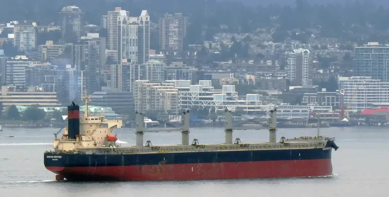 TIVOLI Bulk Carrier IMO 9146807 photo 5