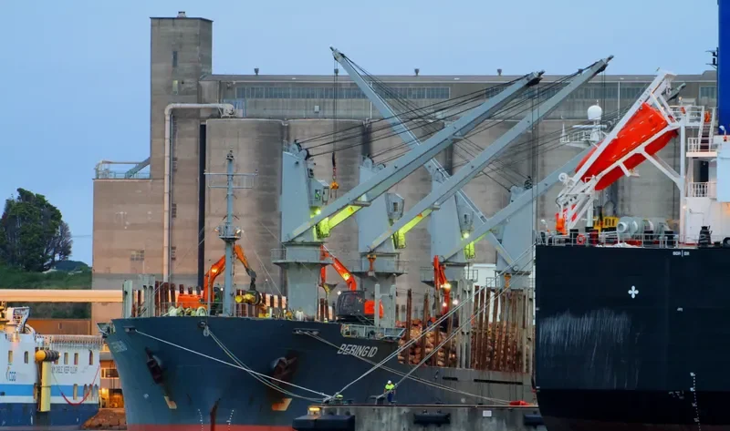 TIVOLI Bulk Carrier IMO 9146807 photo 6