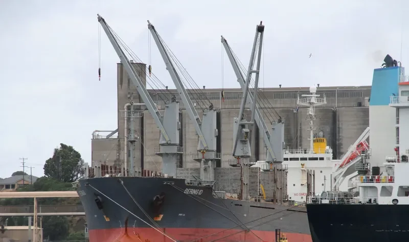 TIVOLI Bulk Carrier IMO 9146807 photo 7