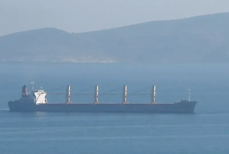 VENUS J Bulk Carrier IMO 9146819