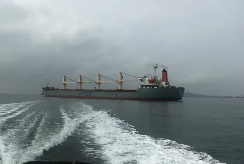 VENUS J Bulk Carrier IMO 9146819 photo 4