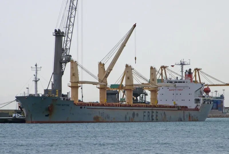 VENUS J Bulk Carrier IMO 9146819 photo 8