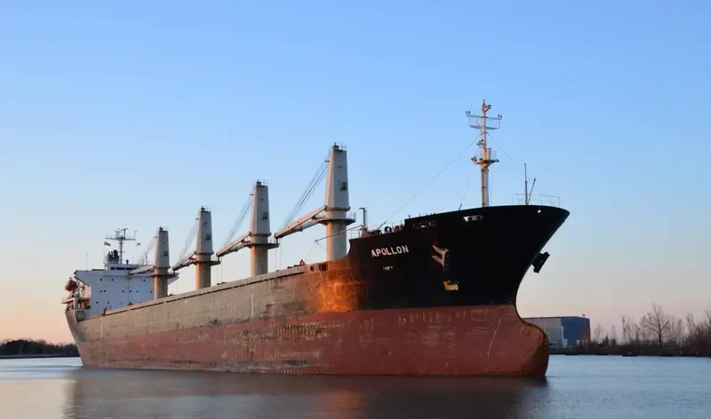 BOS ANGEL Bulk Carrier IMO 9146821 photo 6