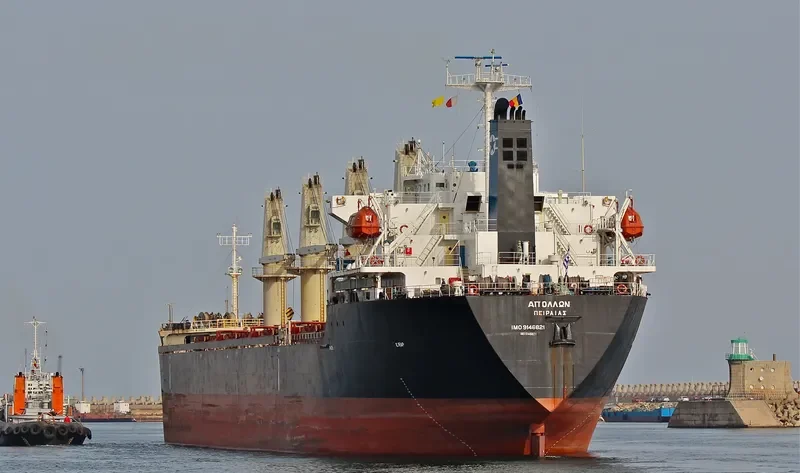 BOS ANGEL Bulk Carrier IMO 9146821 photo 8