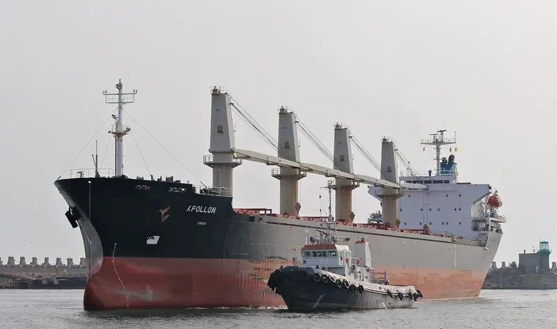 BOS ANGEL Bulk Carrier IMO 9146821 photo 9