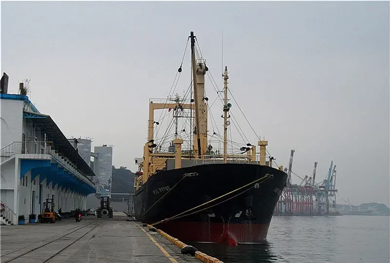 VSG PRIDE General Cargo IMO 9146912 photo 6