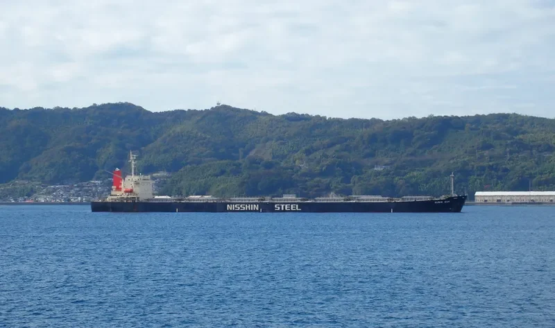 RUBIN OAK Bulk Carrier IMO 9146948