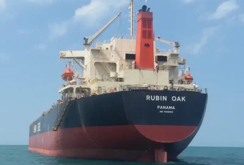 RUBIN OAK Bulk Carrier IMO 9146948 photo 4