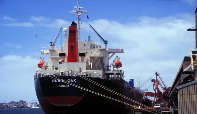 RUBIN OAK Bulk Carrier IMO 9146948 photo 8