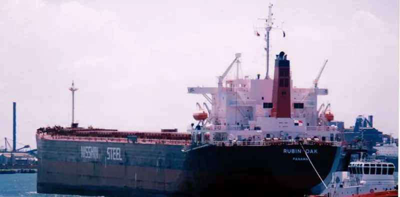 RUBIN OAK Bulk Carrier IMO 9146948 photo 10