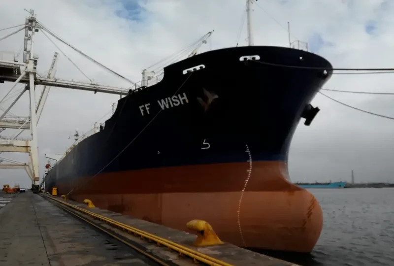GULMAR Bulk Carrier IMO 9146962 photo 3