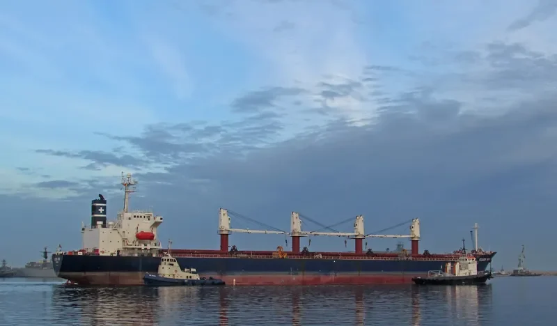 GULMAR Bulk Carrier IMO 9146962 photo 5