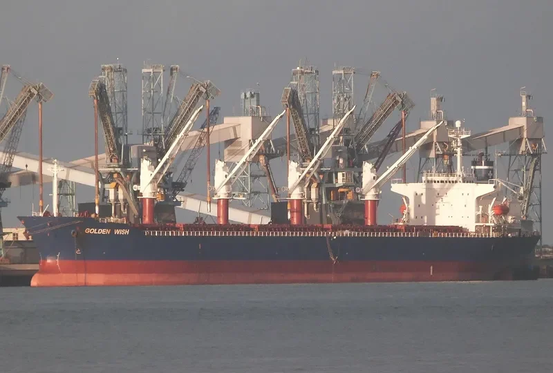 GULMAR Bulk Carrier IMO 9146962 photo 7