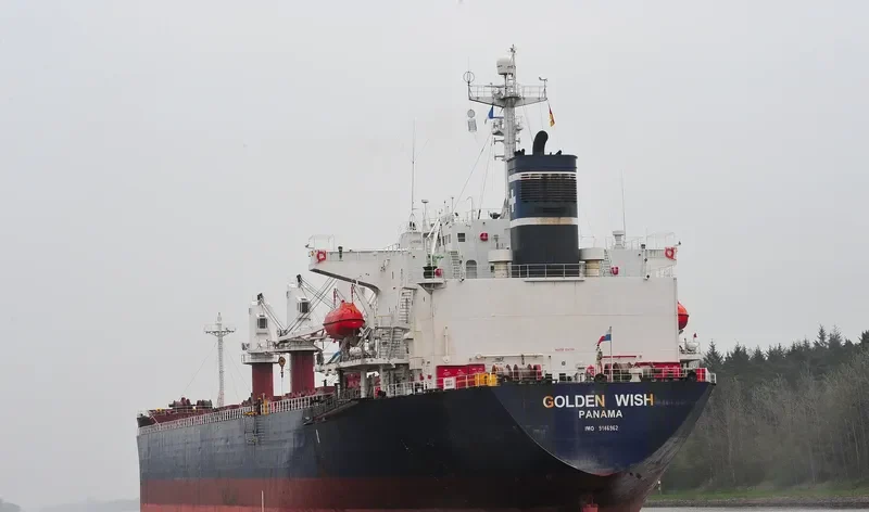 GULMAR Bulk Carrier IMO 9146962 photo 8